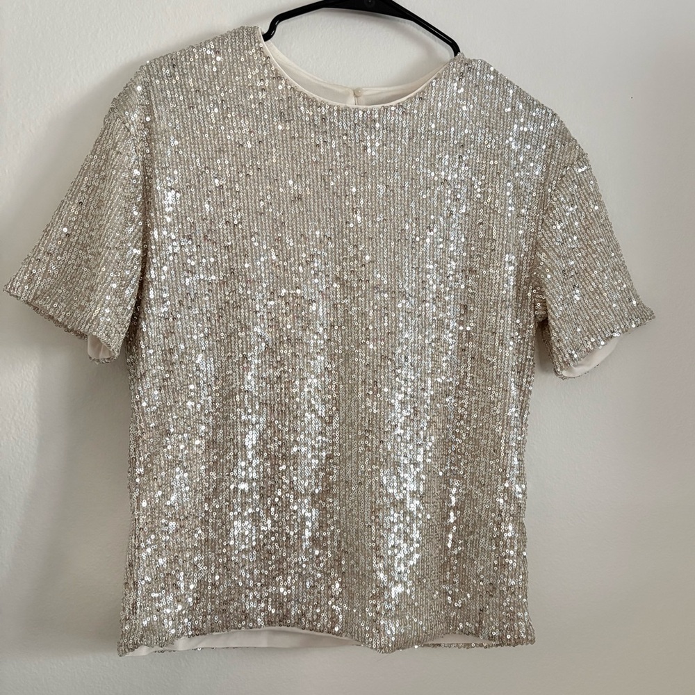 NWOT H&M Silver Short Sleeve Sequin Top